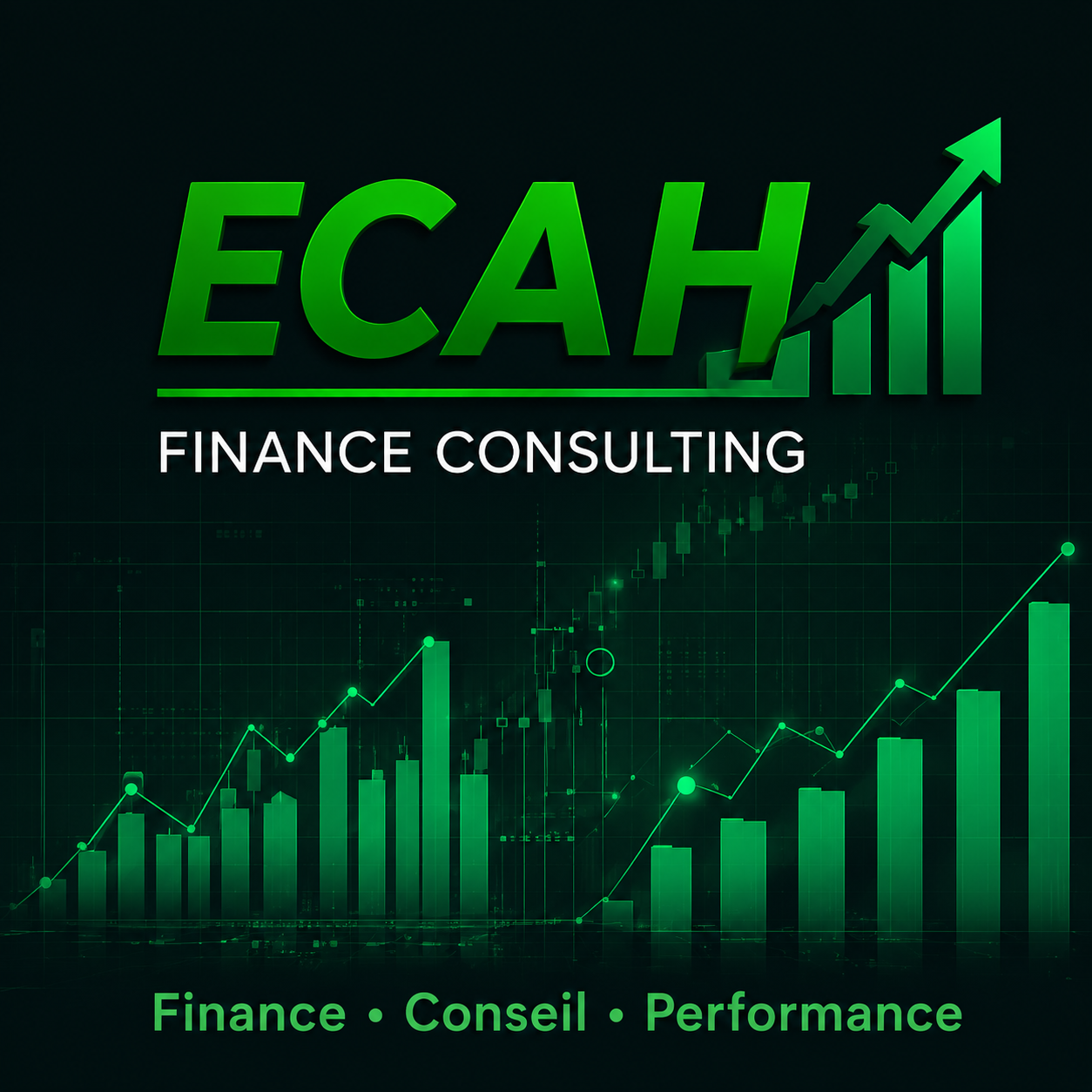 ECAH Finance Consulting